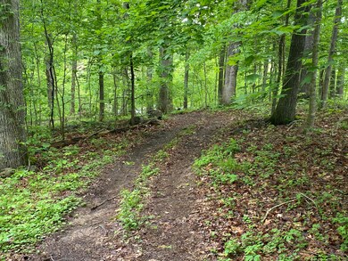 IMG-0914