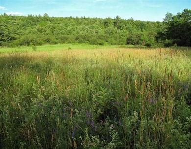 135 Wheeler Ave, Orange, MA 01364 - photo 3