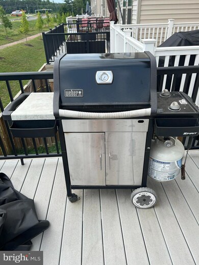 42418 Dogwood Glen Square, Sterling, VA 20166 - photo 6