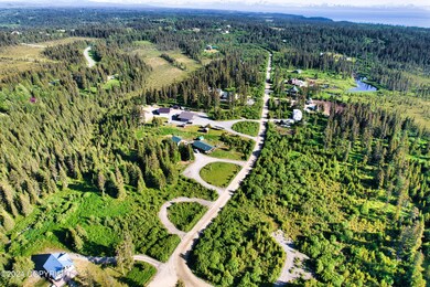 Aerial of Nieghborhood