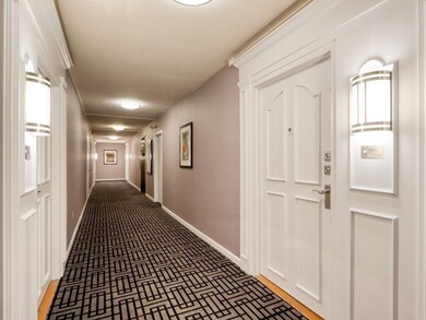 Hammond Park Condominiums unit 302, Chestnut Hill, MA 02467 - photo 4