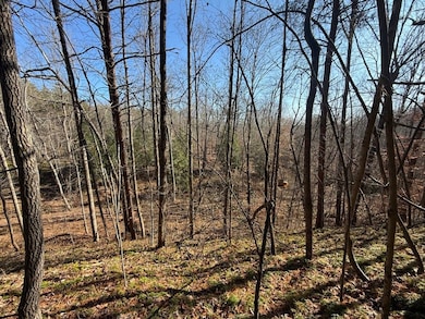 Wild Dog Creek Lot unit Wp10, Tyner, KY 40486 - photo 6