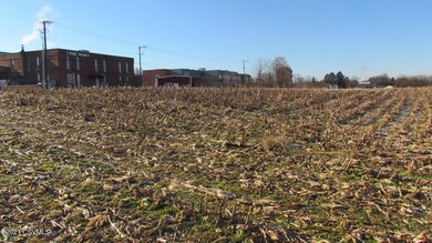 0 Shady Ln, Muncy, PA 17756 - photo 6