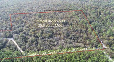 0 Clearwater Creek Ln, Perry, FL 32348 - photo 3