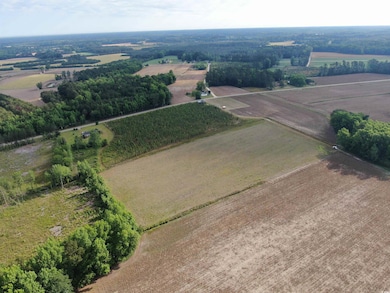 View of rural area with rows of crops