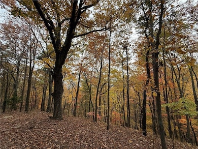 355 Orieole Ct, Ranger, GA 30705 - photo 2