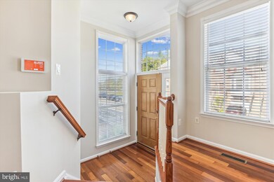 43113 Forest Edge Square, Broadlands, VA 20148 - photo 3