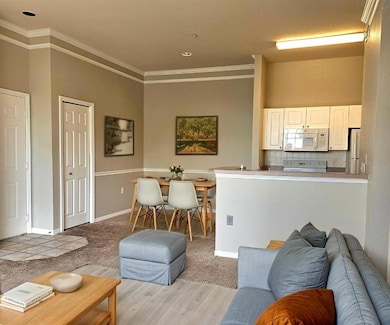 staged dining/living