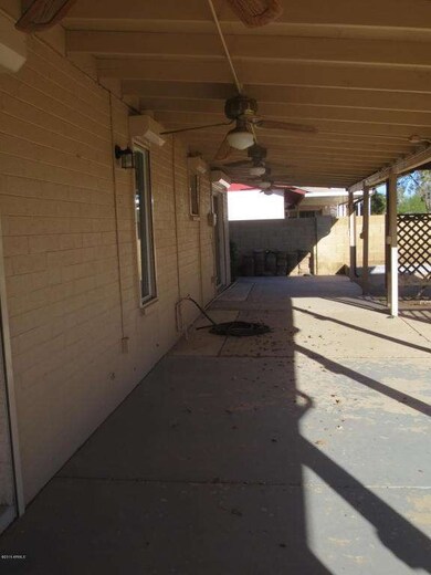 Back Patio