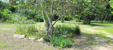 119 N Longhorn Dr, Weatherford, TX 76085 - photo 7