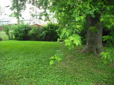view into backyard