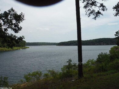 999 Belmont Acres Cir, Tumbling Shoals, AR 72581 - photo 4