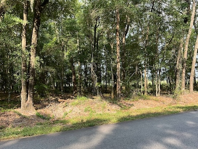 3887 Old Salkehatchie Rd, Early Branch, SC 29916 - photo 2