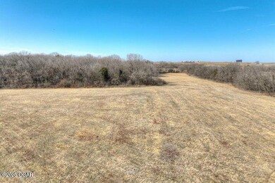 Xxx-B Teal Dr, Newtonia, MO 64853 - photo 6