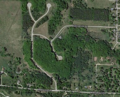 39 Tree Top Ridge, Big Rapids, MI 49307 - photo 2