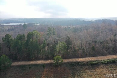 TBD Minorca Rd, Datto, AR 72444 - photo 7