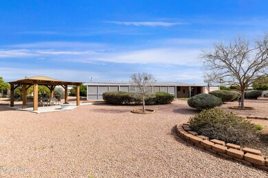 Large Backyard