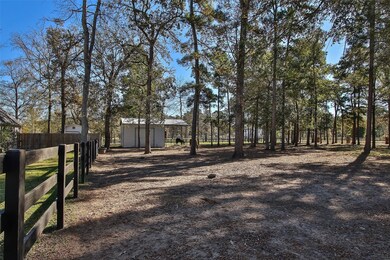 PLENTY OF SHADE FOR THE HORSES