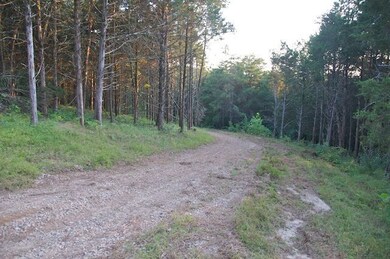 Current Gravel driveway