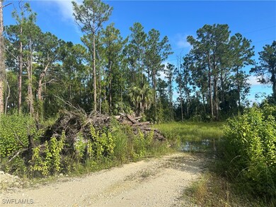 3983 33rd Ave NE, Rural Estates, FL 34120 - photo 3