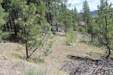 Badger Lot 1&2 Sontag Ridge Ln, Davenport, WA 99122 - photo 3