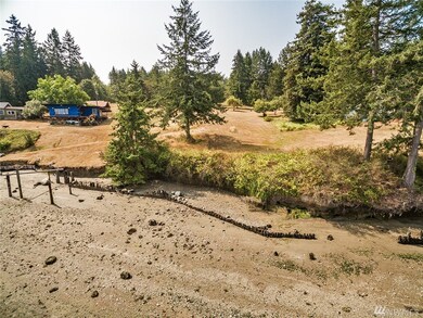 12319 Glenhaven Rd unit AI, Anderson Island, WA 98303 - photo 2