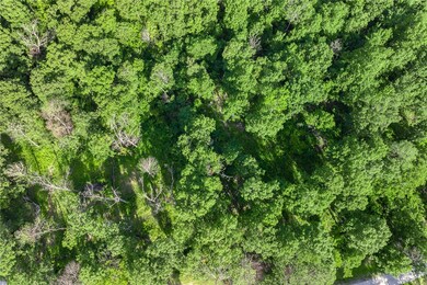 Lot 81 Restore Ridge, Harrison, AR 72601 - photo 6