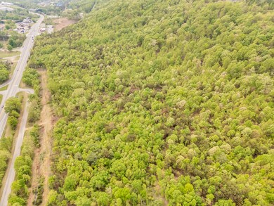 06-95Acre Lot_06