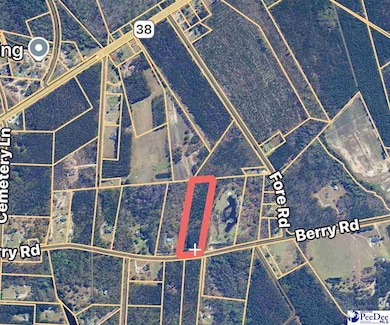 Lot 37 Berry Rd, Latta, SC 29565 - photo 5