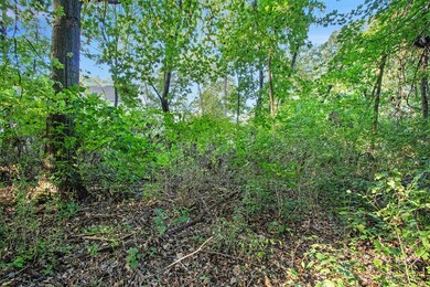 16363 Timber Lane