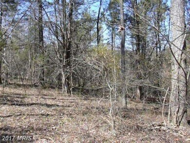 7 Lexington Ln, Earlysville, VA 22936 - photo 2