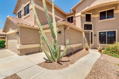 04-Yucca