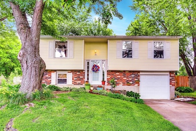 6704_Cub_Ct_40291__1003