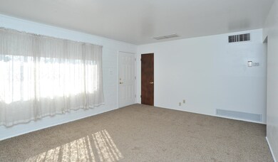 741 E Mcmillan Dr, Tucson, AZ 85719 - photo 6