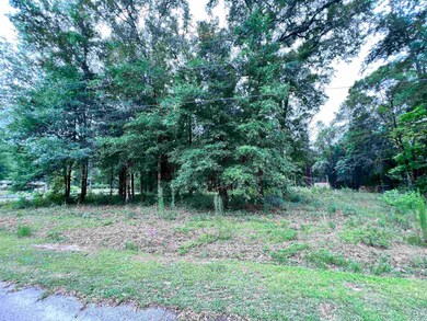 136 Fontaine Cir, Crawfordville, FL 32327 - photo 6