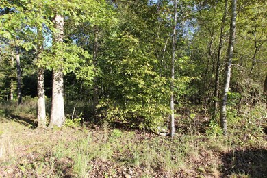 Mostly wooded & level to sloping terrain. 
