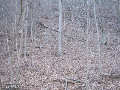 0 Not On File unit 1003742004, Maurertown, VA 22644 - photo 5