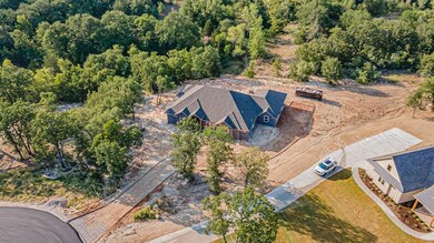 183 Saddle Horn Trail, Boyd, TX 76023 - photo 5