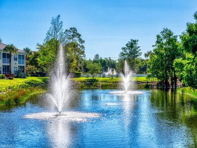 Water feature in lake off lanai.