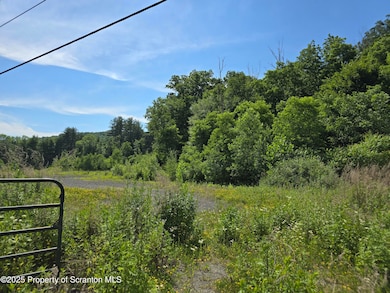 unlisted-address, Kingsley, PA 18826 - photo 4