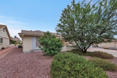 Landscaped Front Yard
