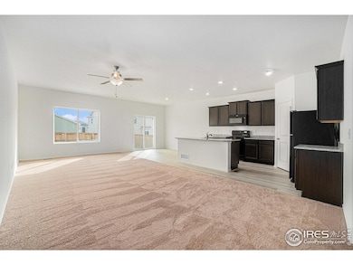 Living Room / Kitchen / Dining Area