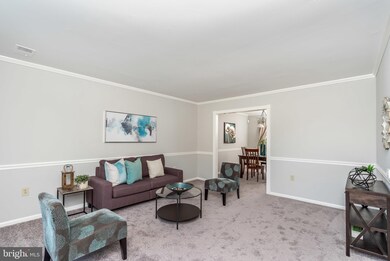 10001 Madronawood Dr, Laurel, MD 20708 - photo 6