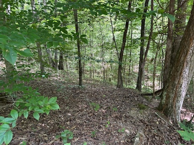 Photo Jul 18 2025, 1 19 20 PM