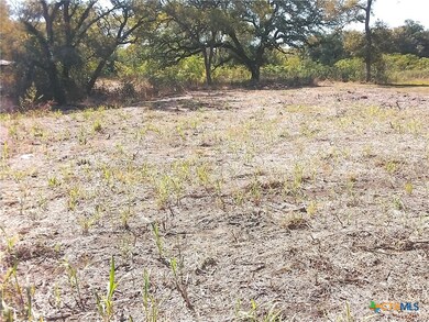 TBD SW Blk 1st Ave, Waelder, TX 78959 - photo 3