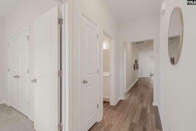 258 Brando Way, Columbia, SC 29223 - photo 5