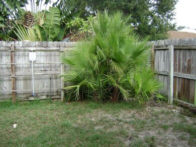 backyard view 2