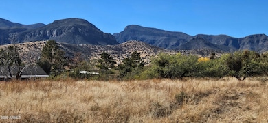 TBD S Omega Place unit 20, Sierra Vista Southeast, AZ 85615 - photo 3