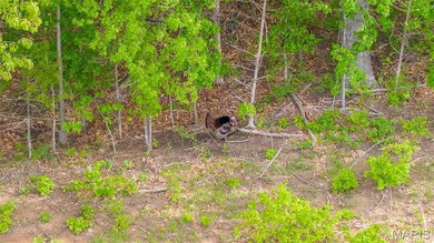 0 TRACT #2 Tappmeyer Rd, Owensville, MO 65066 - photo 5