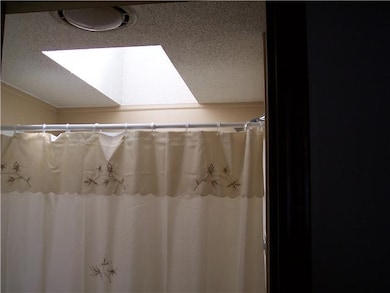 Interior Space/Layout. THE SKYLIGHT IN THE MSTR BA